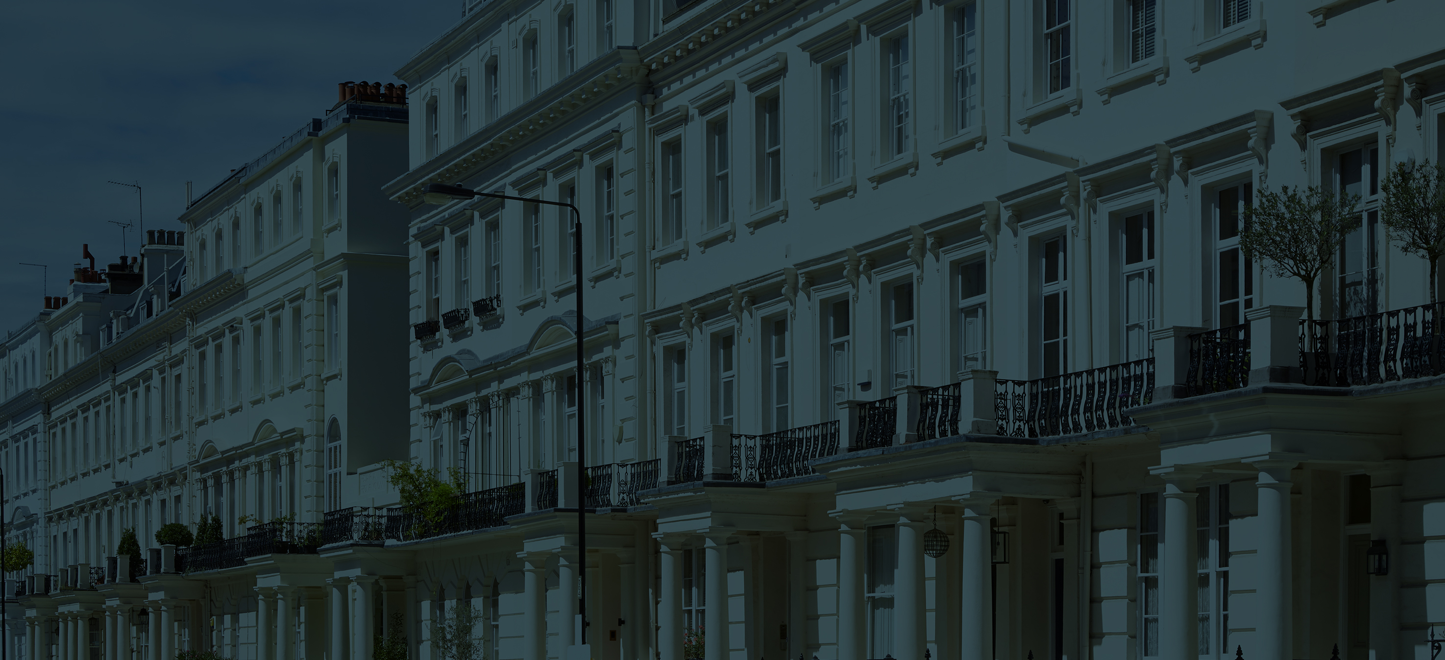 home page banner.jpg